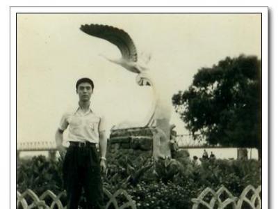 1983갶ڹɻ